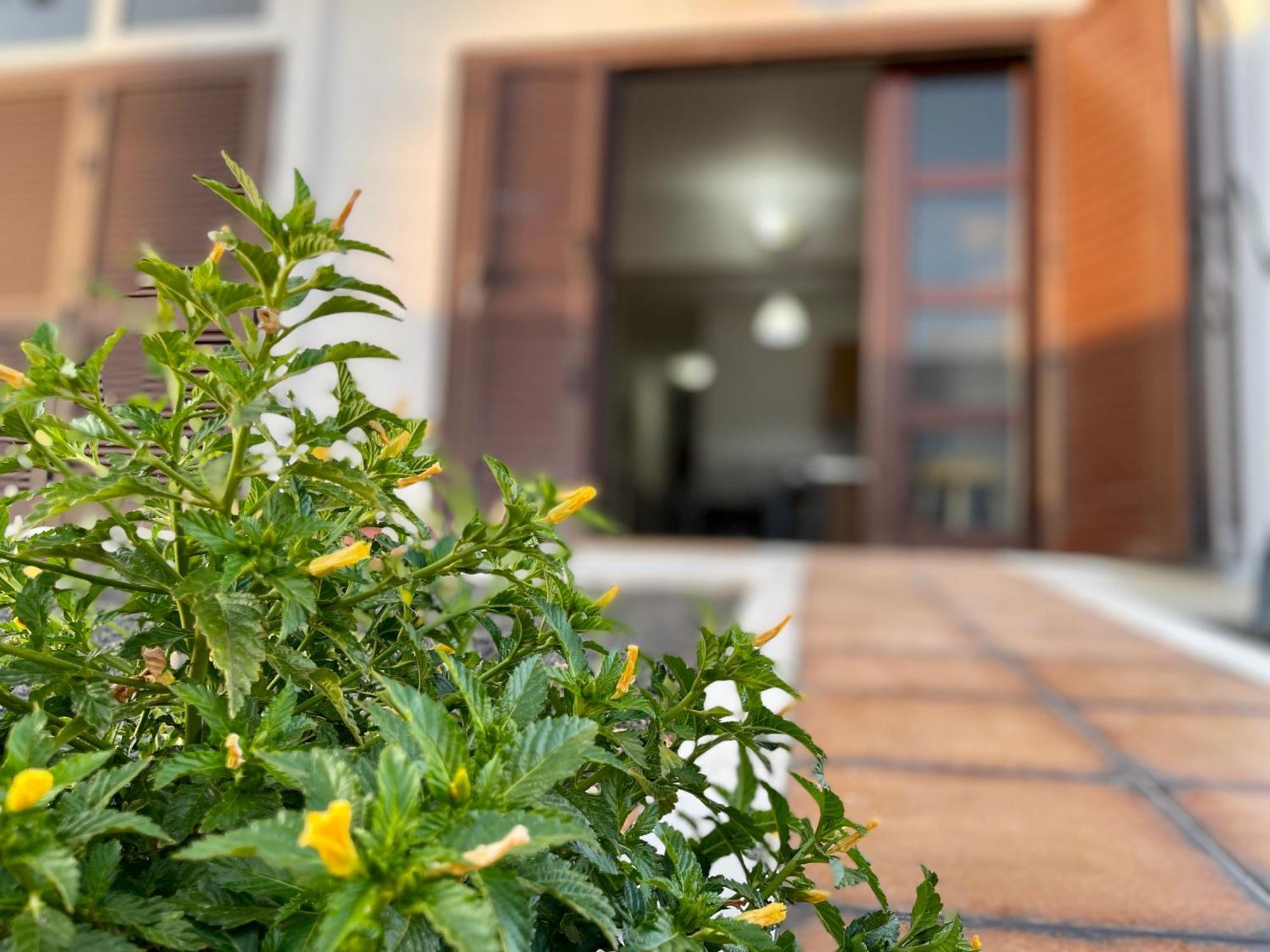 Apartamento Casita De Marta Lanzarote Costa Teguise Exterior foto